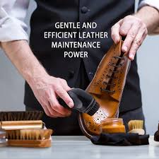 Electronic Shoe Polisher